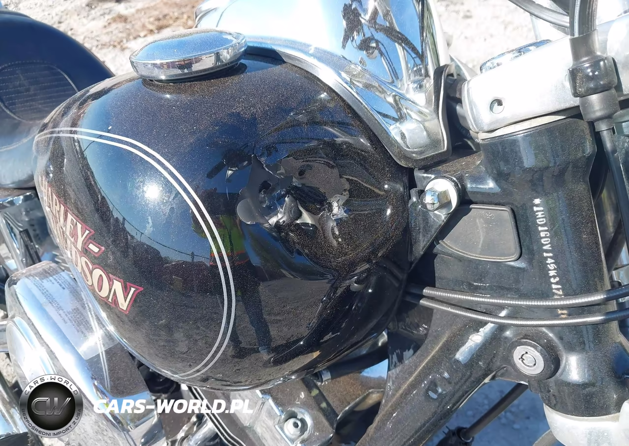 2005 Harley-Davidson Fxdl VIN:1HD1GDV145K317721 - 14