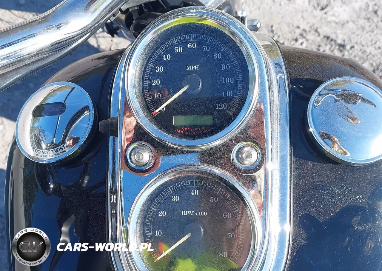 2005 Harley-Davidson Fxdl VIN:1HD1GDV145K317721 - 7