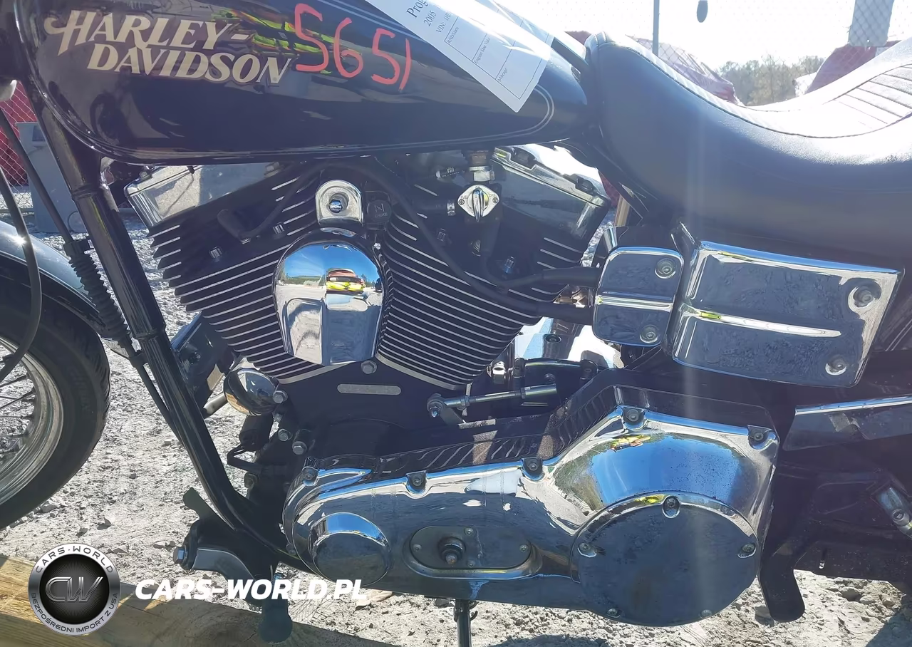 2005 Harley-Davidson Fxdl VIN:1HD1GDV145K317721 - 9