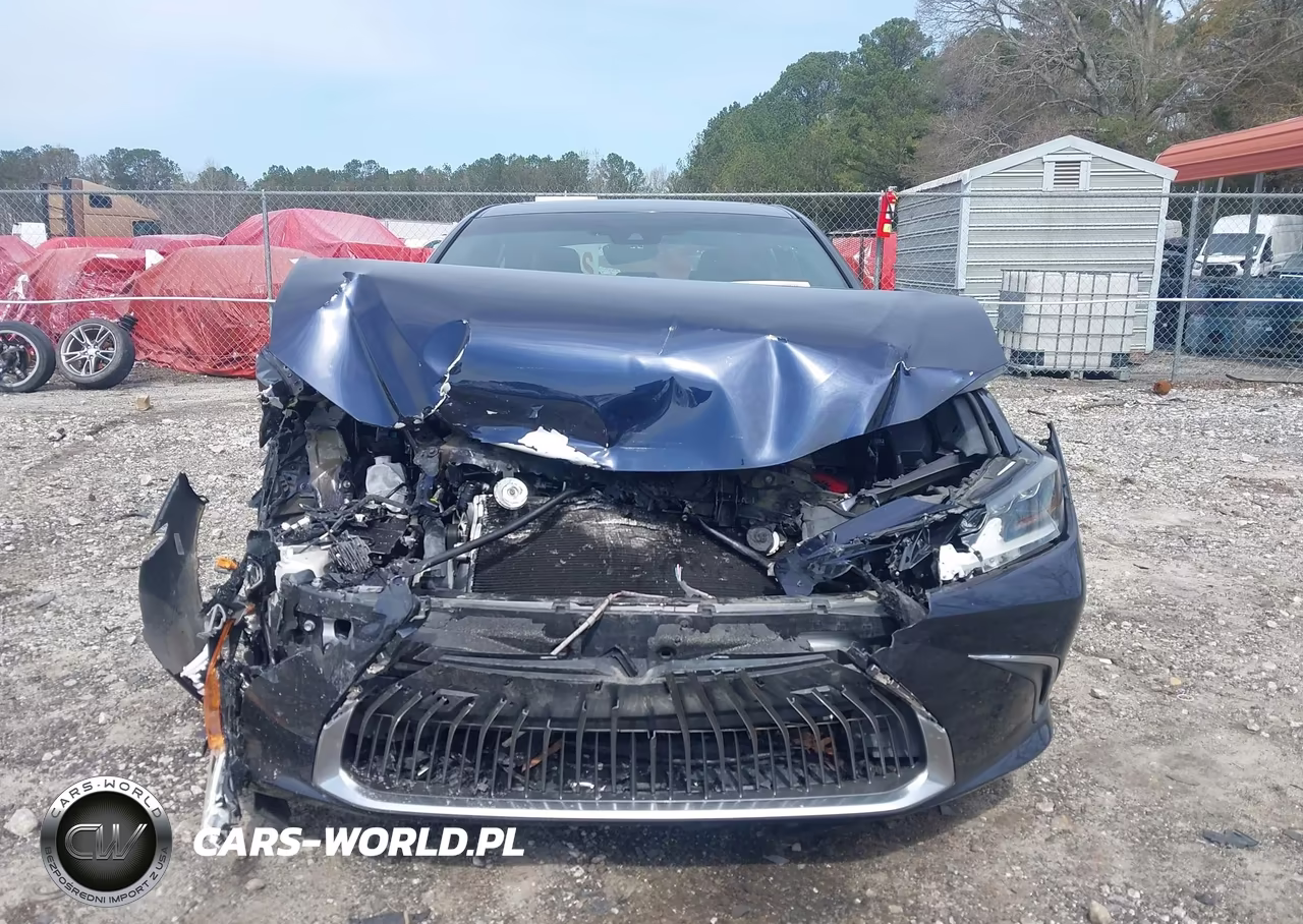 2019 Lexus Es 350 Luxury VIN:58ABZ1B18KU026761 - 12