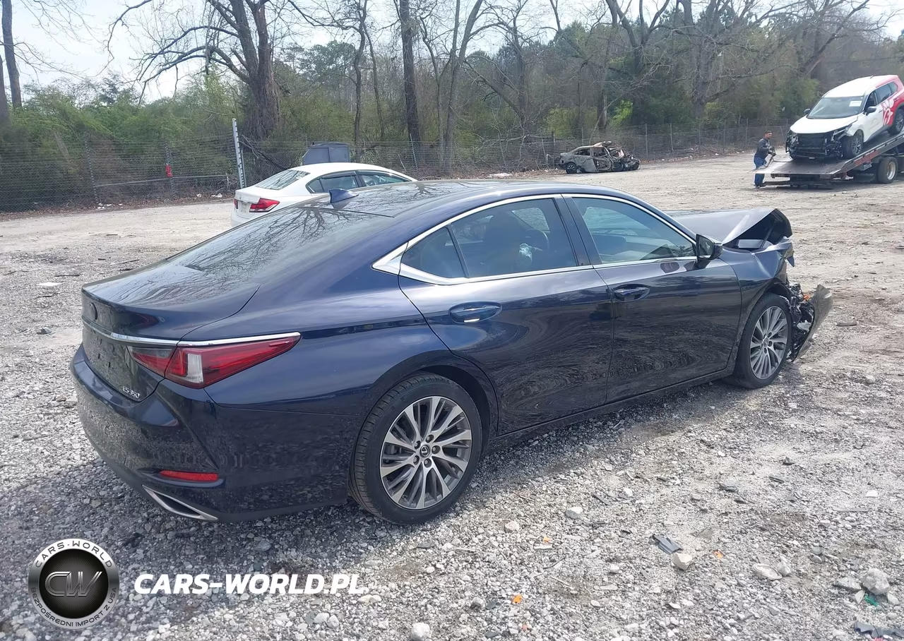 2019 Lexus Es 350 Luxury VIN:58ABZ1B18KU026761 - 4