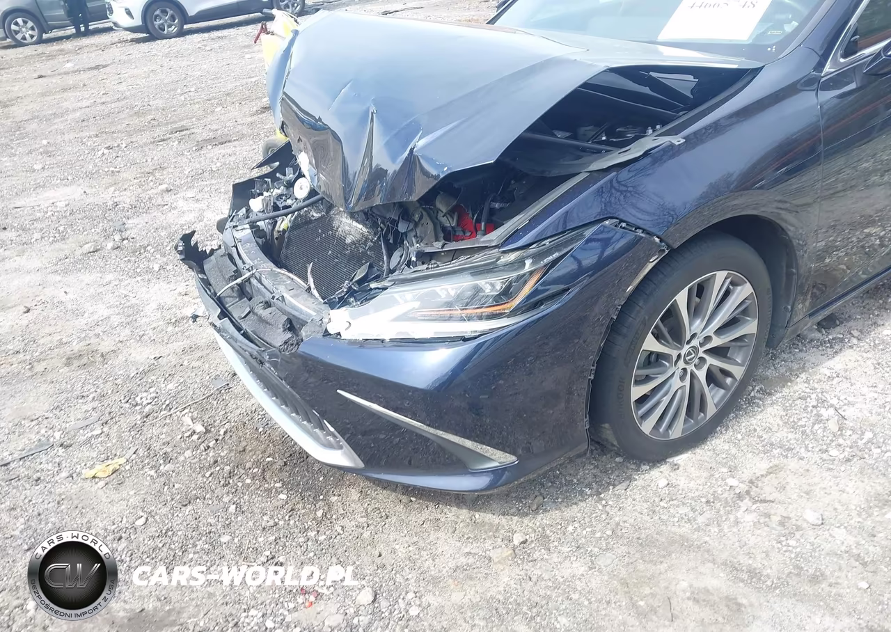 2019 Lexus Es 350 Luxury VIN:58ABZ1B18KU026761 - 6