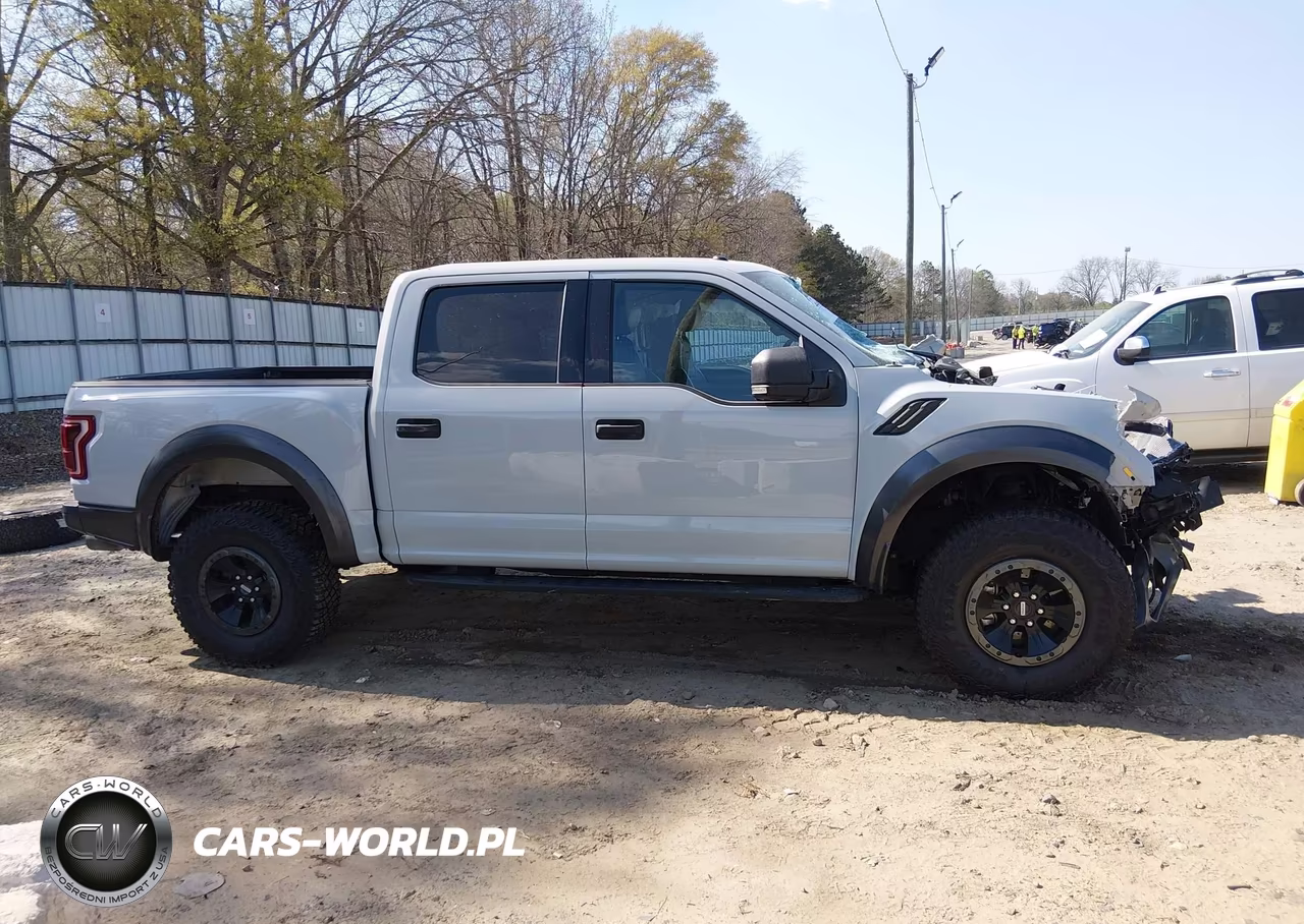 2017 Ford F-150 Raptor VIN:1FTFW1RG8HFB29465 - 14
