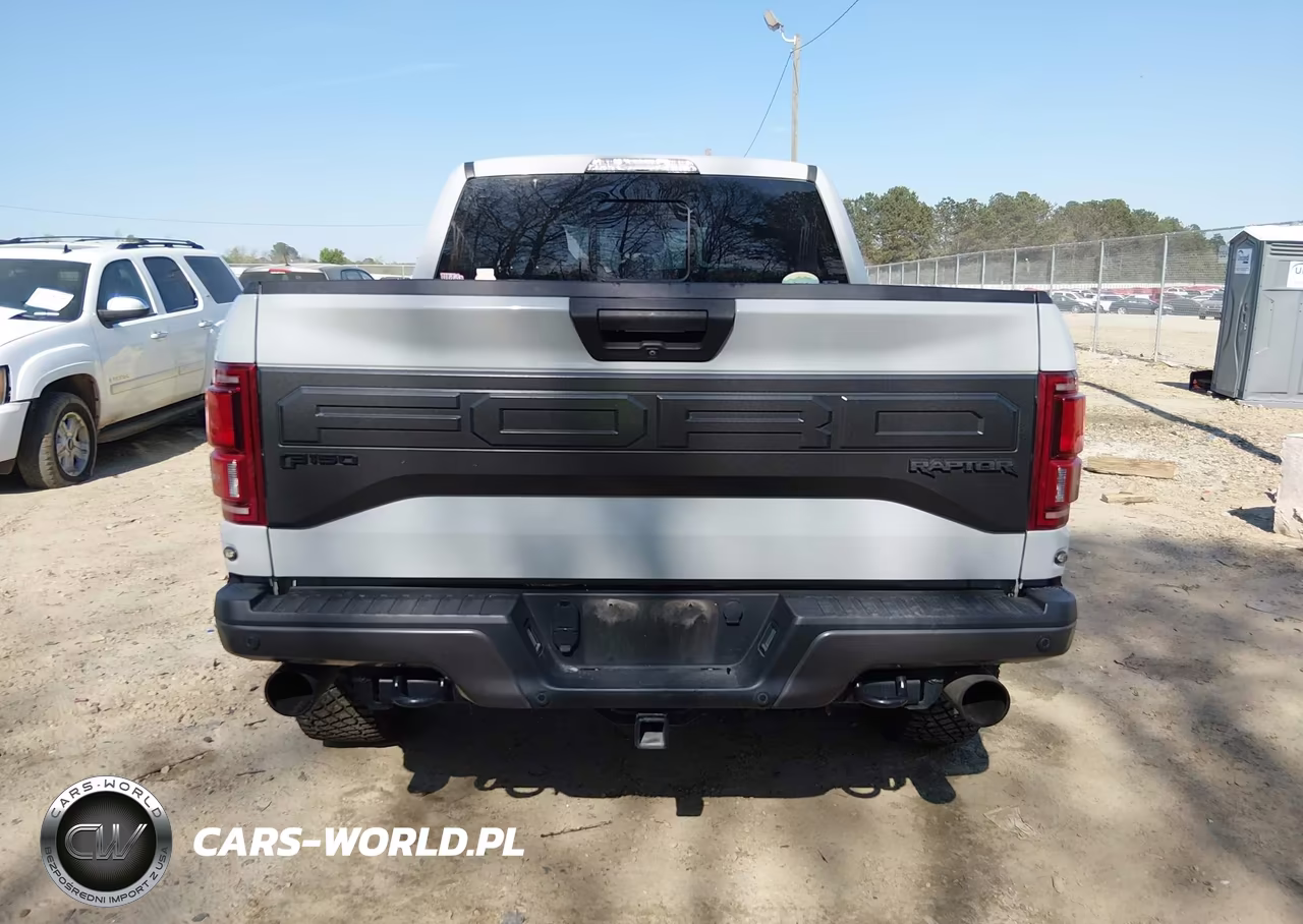 2017 Ford F-150 Raptor VIN:1FTFW1RG8HFB29465 - 17