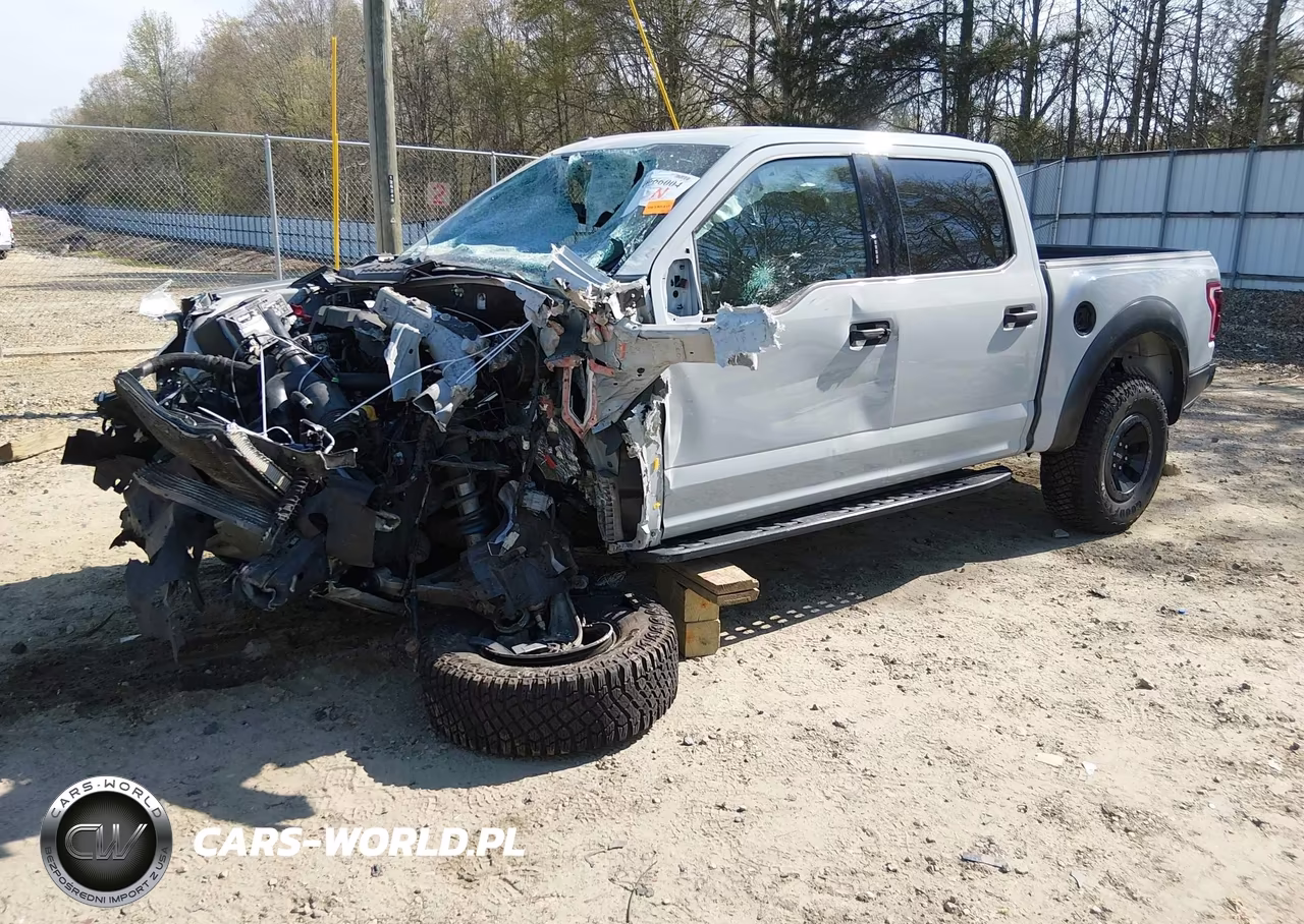 2017 Ford F-150 Raptor VIN:1FTFW1RG8HFB29465 - 2