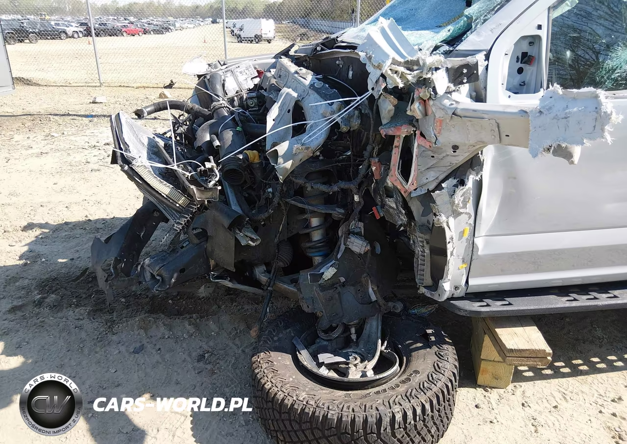 2017 Ford F-150 Raptor VIN:1FTFW1RG8HFB29465 - 22