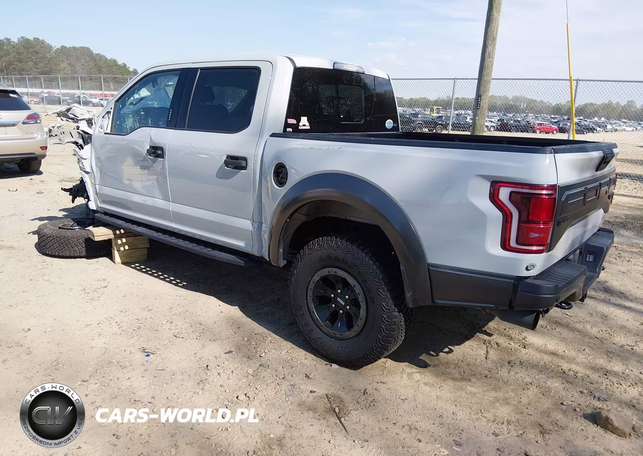 2017 Ford F-150 Raptor VIN:1FTFW1RG8HFB29465 - 3