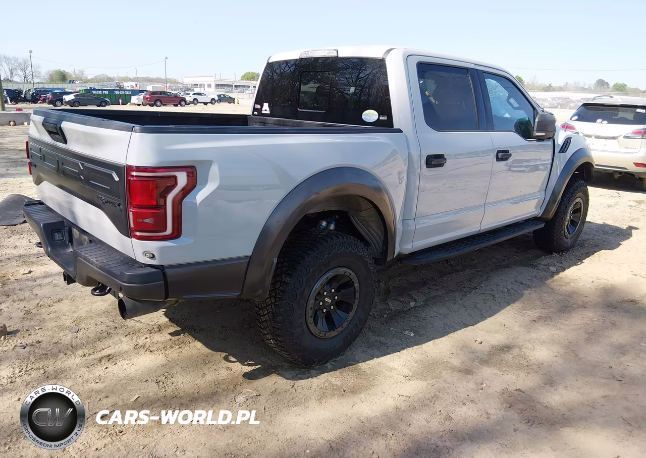 2017 Ford F-150 Raptor VIN:1FTFW1RG8HFB29465 - 4