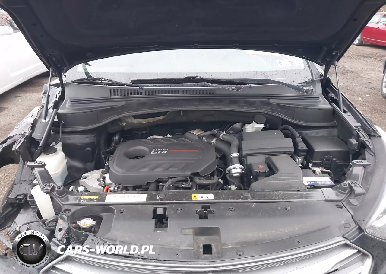 2017 Hyundai Santa Fe Sport 2.0T Ultimate VIN:5XYZWDLA4HG471656 - 10