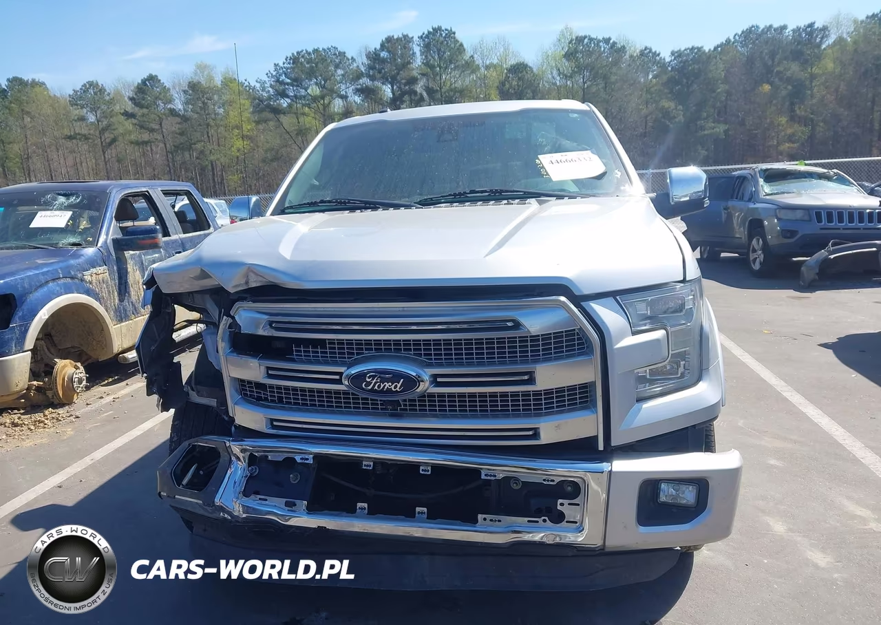 2015 Ford F-150 Platinum VIN:1FTEW1CF1FFB11544 - 12