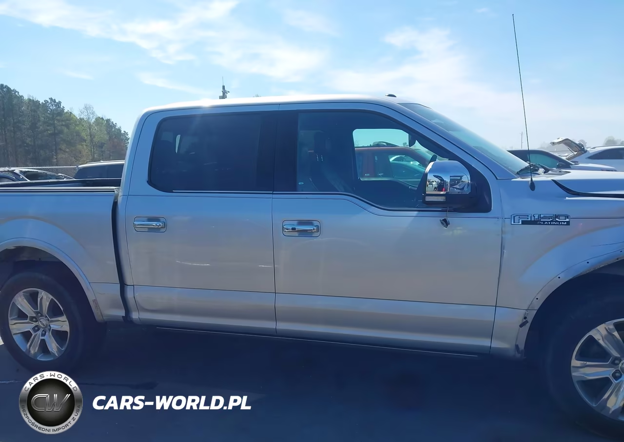 2015 Ford F-150 Platinum VIN:1FTEW1CF1FFB11544 - 13