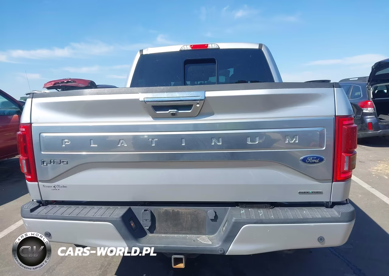 2015 Ford F-150 Platinum VIN:1FTEW1CF1FFB11544 - 16