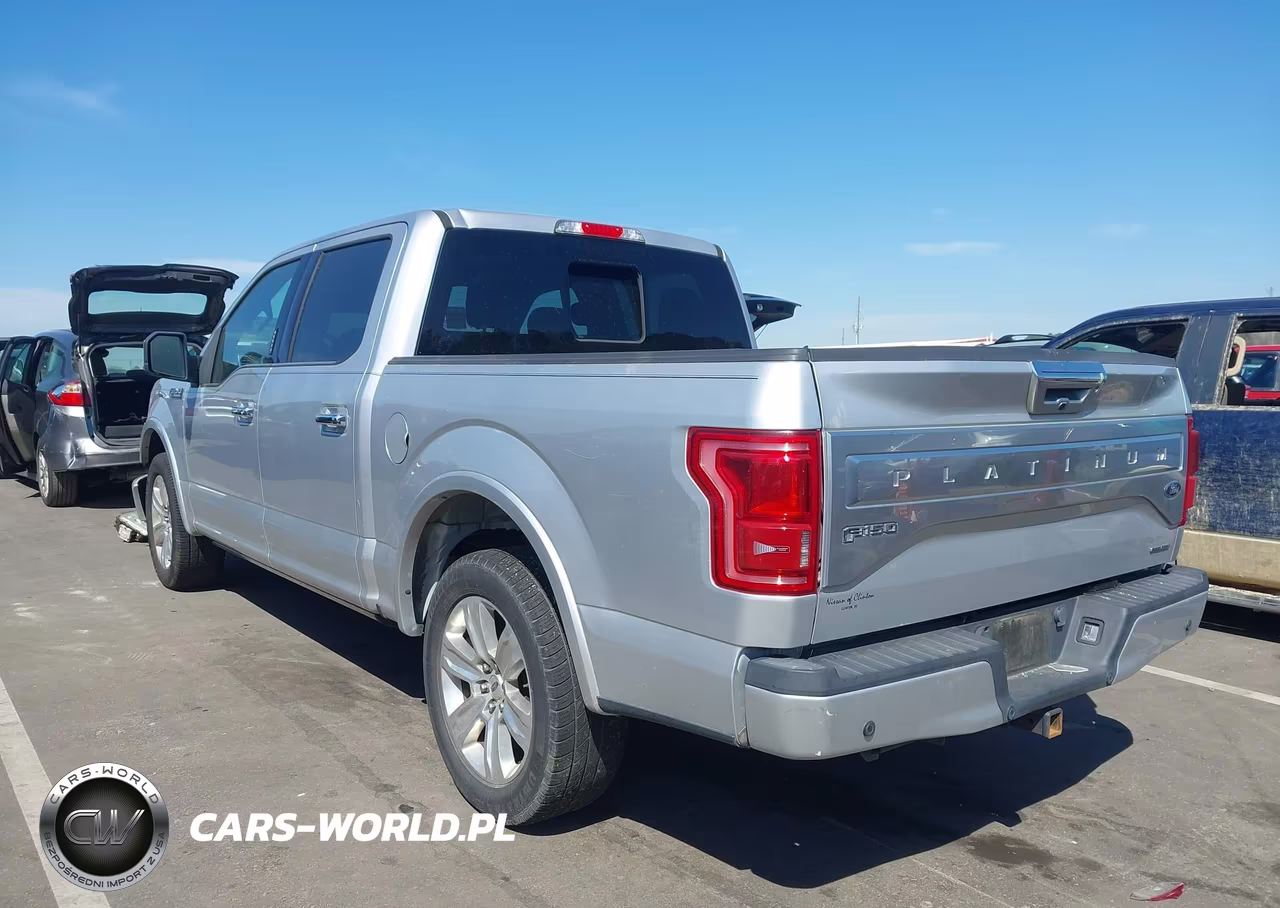 2015 Ford F-150 Platinum VIN:1FTEW1CF1FFB11544 - 3