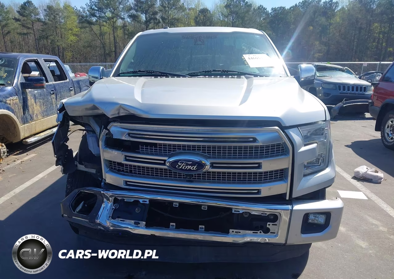 2015 Ford F-150 Platinum VIN:1FTEW1CF1FFB11544 - 6