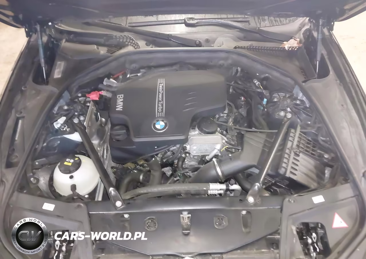 2015 BMW 528I xDrive VIN:WBA5A7C56FG142966 - 10