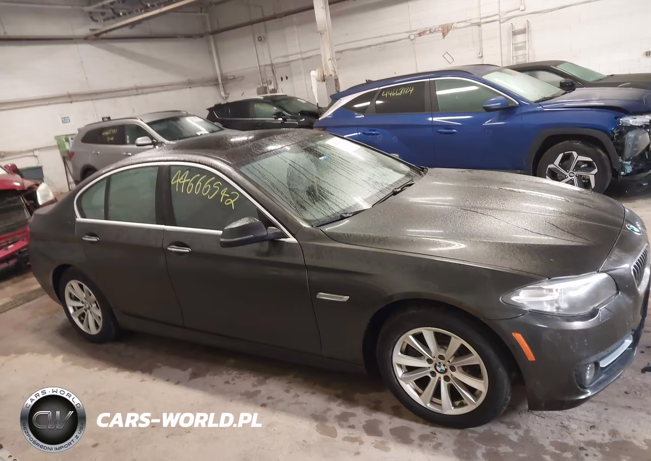 2015 BMW 528I xDrive VIN:WBA5A7C56FG142966 - 13