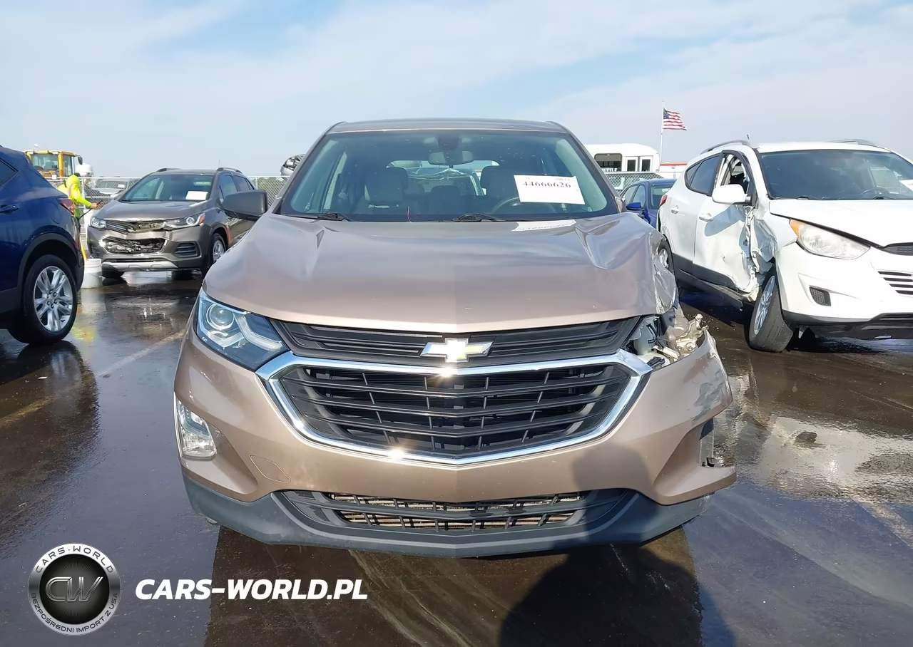2019 Chevrolet Equinox Ls VIN:2GNAXHEV9K6199618 - 12