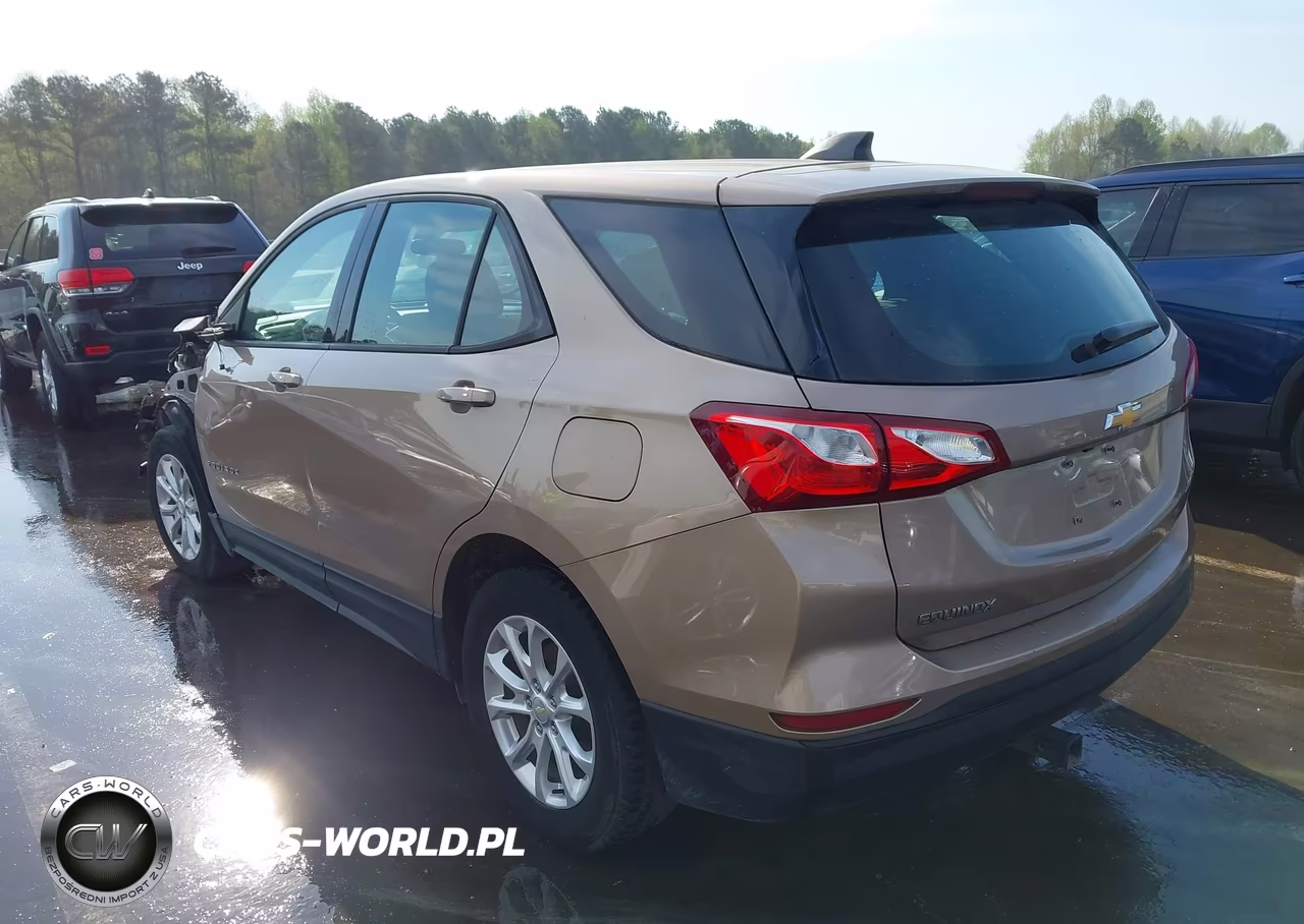 2019 Chevrolet Equinox Ls VIN:2GNAXHEV9K6199618 - 3