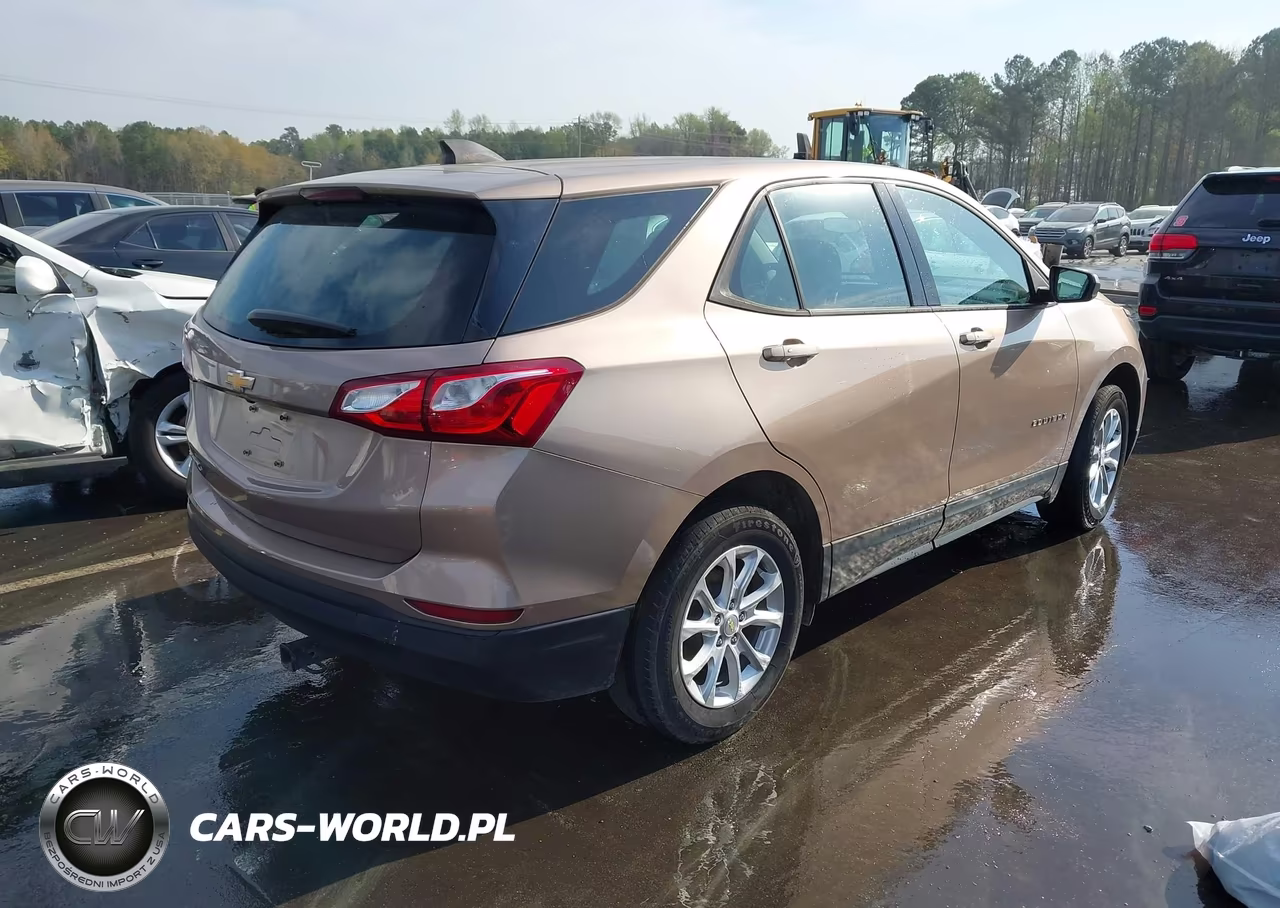 2019 Chevrolet Equinox Ls VIN:2GNAXHEV9K6199618 - 4