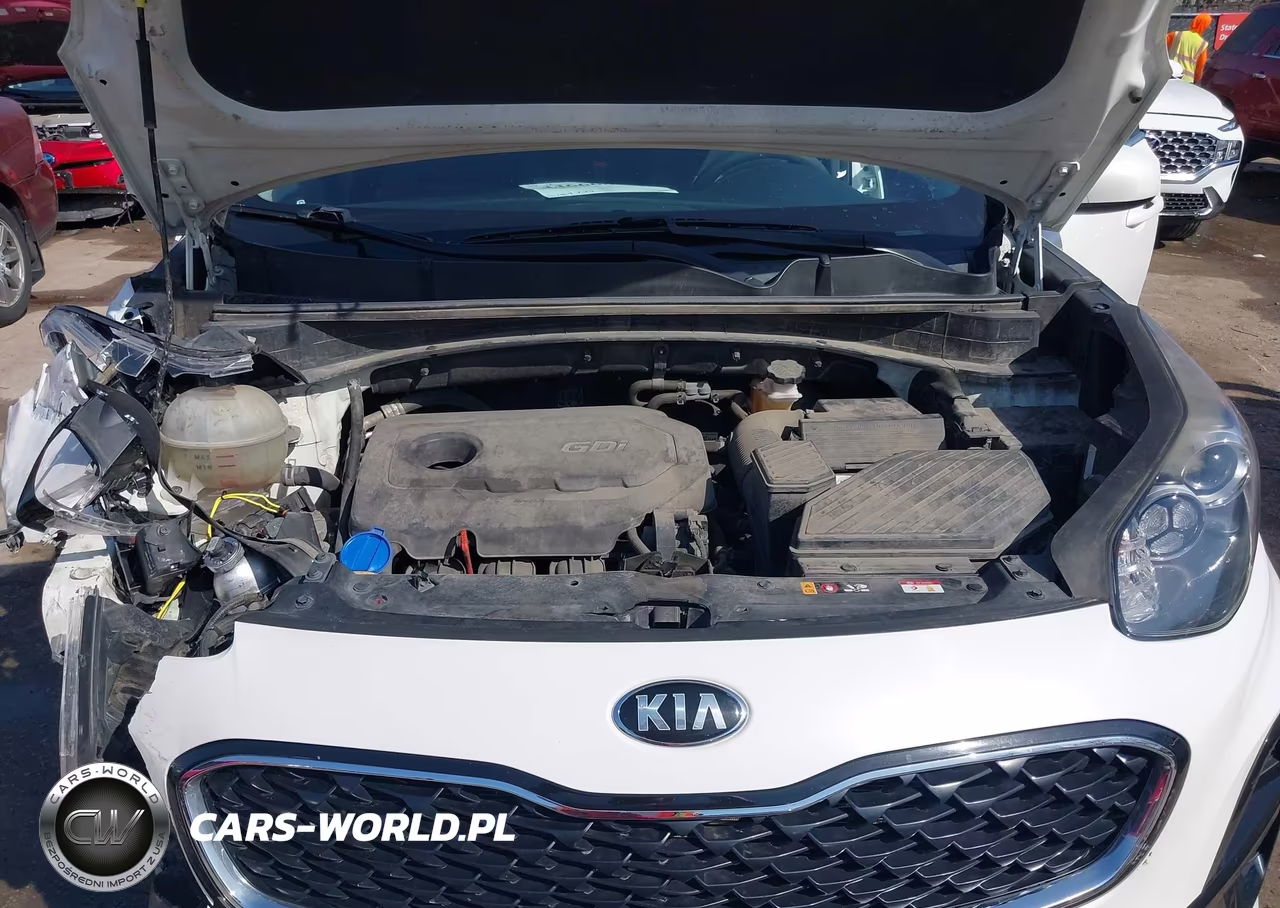2021 Kia Sportage Lx VIN:KNDPM3AC1M7931262 - 10