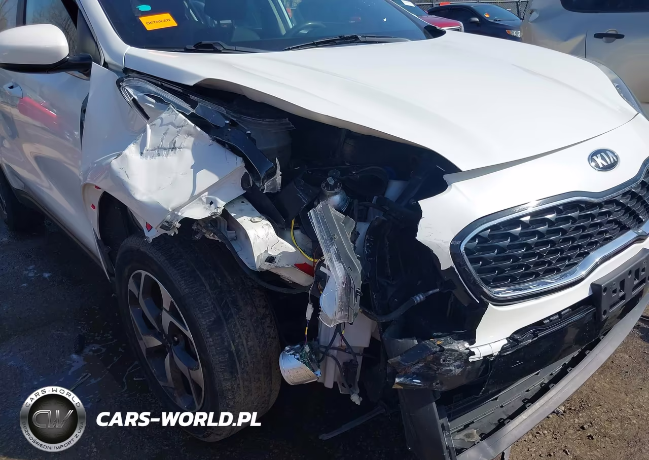 2021 Kia Sportage Lx VIN:KNDPM3AC1M7931262 - 6