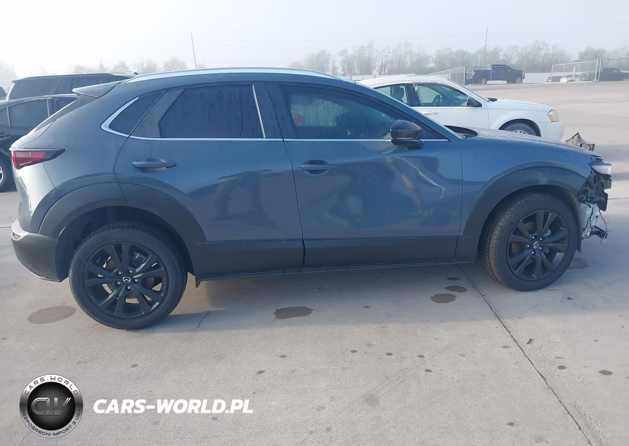 2023 Mazda Cx-30 2.5 S Carbon Edition VIN:3MVDMBCM3PM536883 - 13