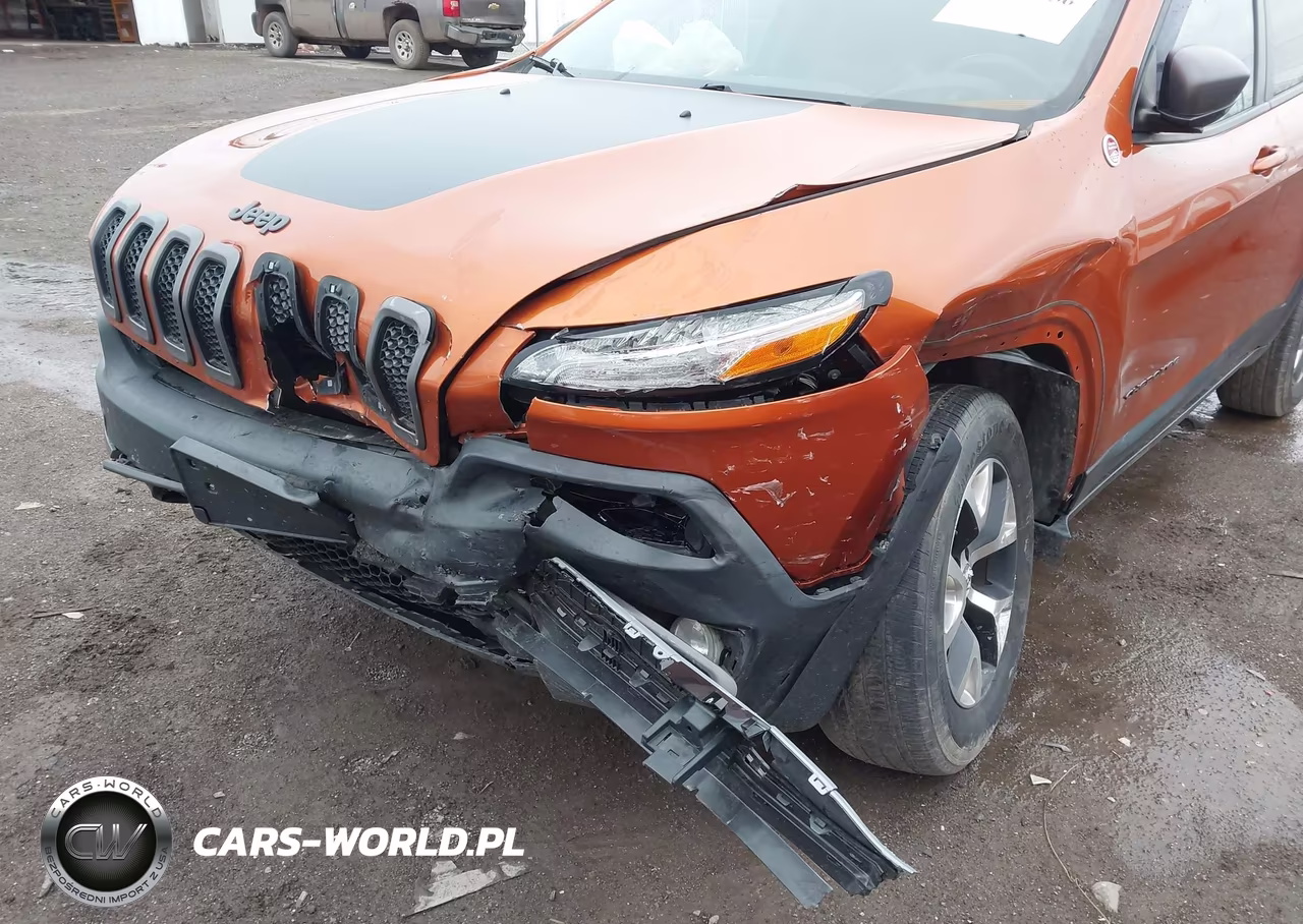 2016 Jeep Cherokee Trailhawk VIN:1C4PJMBS1GW205304 - 6