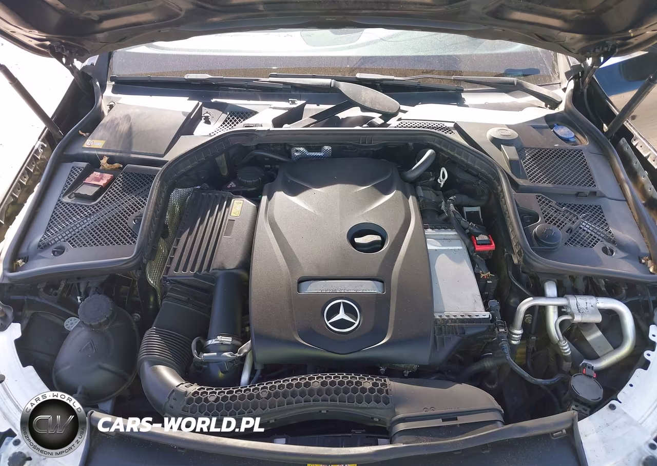 2015 Mercedes-Benz C 300 4Matic VIN:55SWF4KB0FU011118 - 10