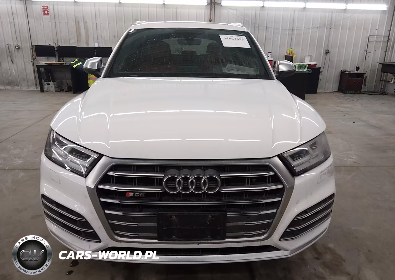 2018 Audi Sq5 3.0T Premium Plus VIN:WA1A4AFY4J2120816 - 13