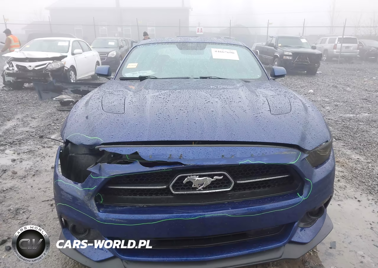 2015 Ford Mustang Gt Premium VIN:1FA6P8CF8F5321791 - 13