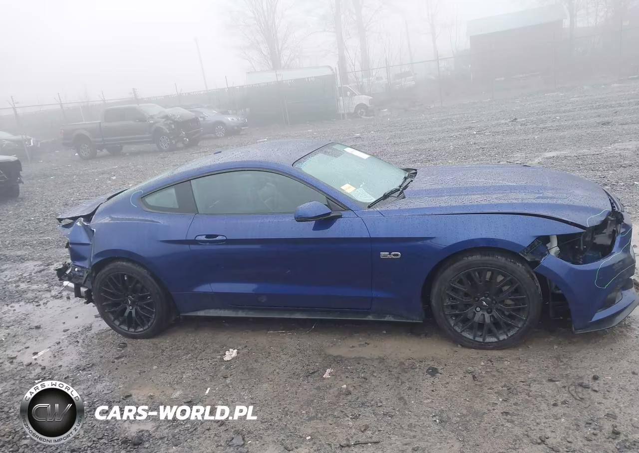 2015 Ford Mustang Gt Premium VIN:1FA6P8CF8F5321791 - 14