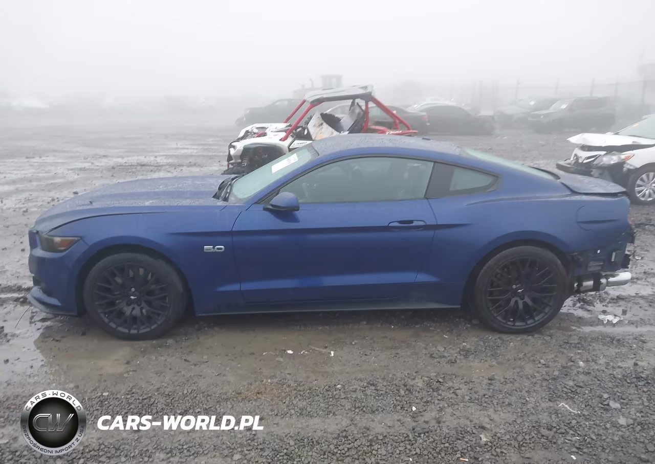 2015 Ford Mustang Gt Premium VIN:1FA6P8CF8F5321791 - 15
