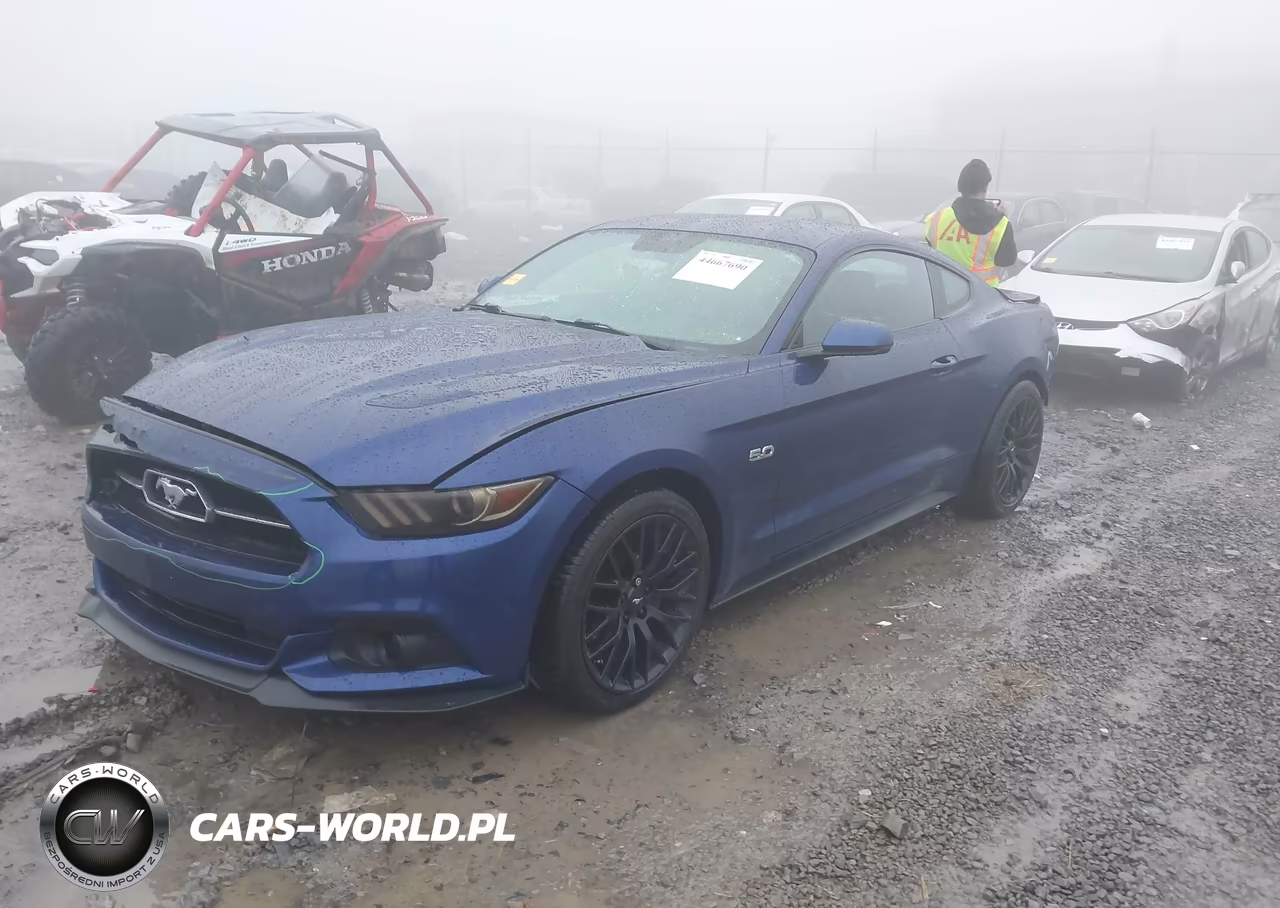 2015 Ford Mustang Gt Premium VIN:1FA6P8CF8F5321791 - 2