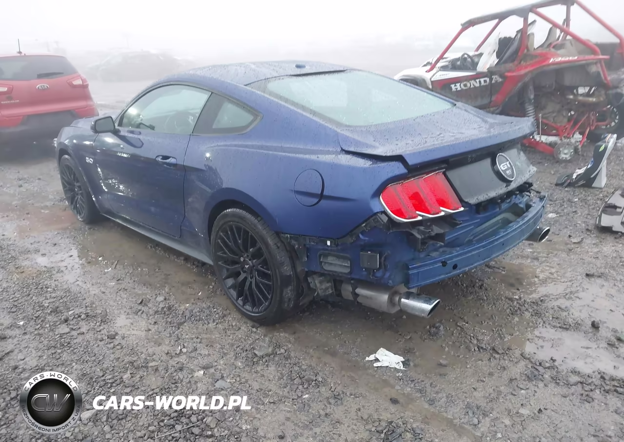 2015 Ford Mustang Gt Premium VIN:1FA6P8CF8F5321791 - 3