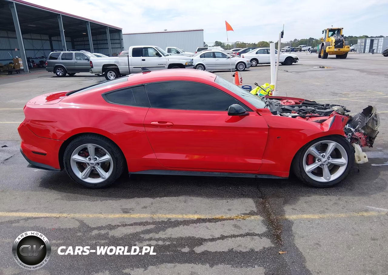 2021 Ford Mustang Gt Premium VIN:1FA6P8CF0M5116530 - 13