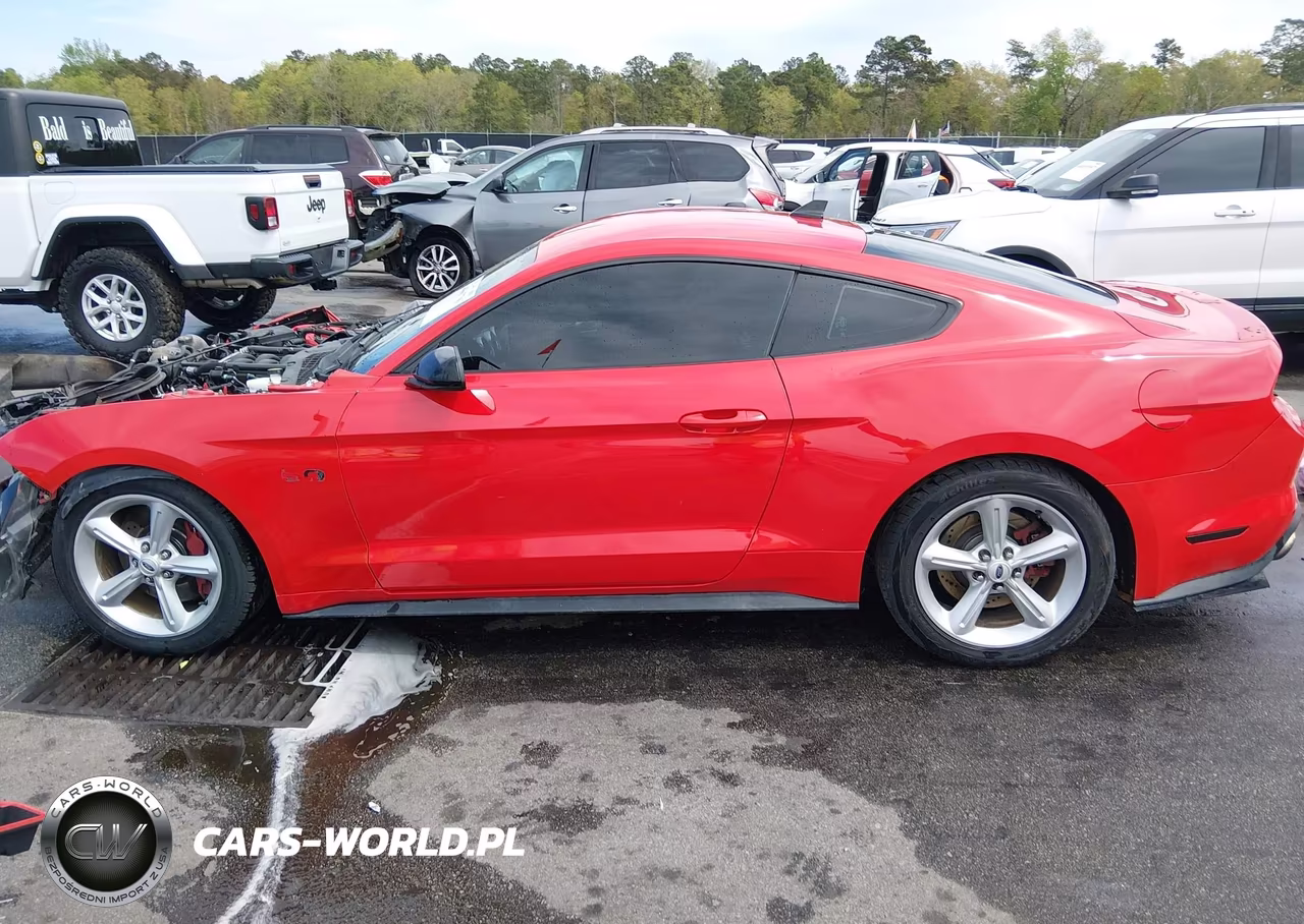 2021 Ford Mustang Gt Premium VIN:1FA6P8CF0M5116530 - 14