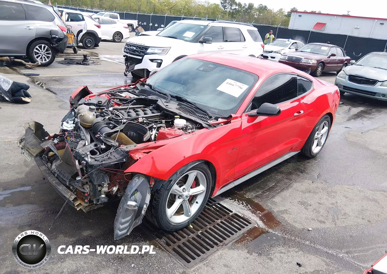 2021 Ford Mustang Gt Premium VIN:1FA6P8CF0M5116530 - 2