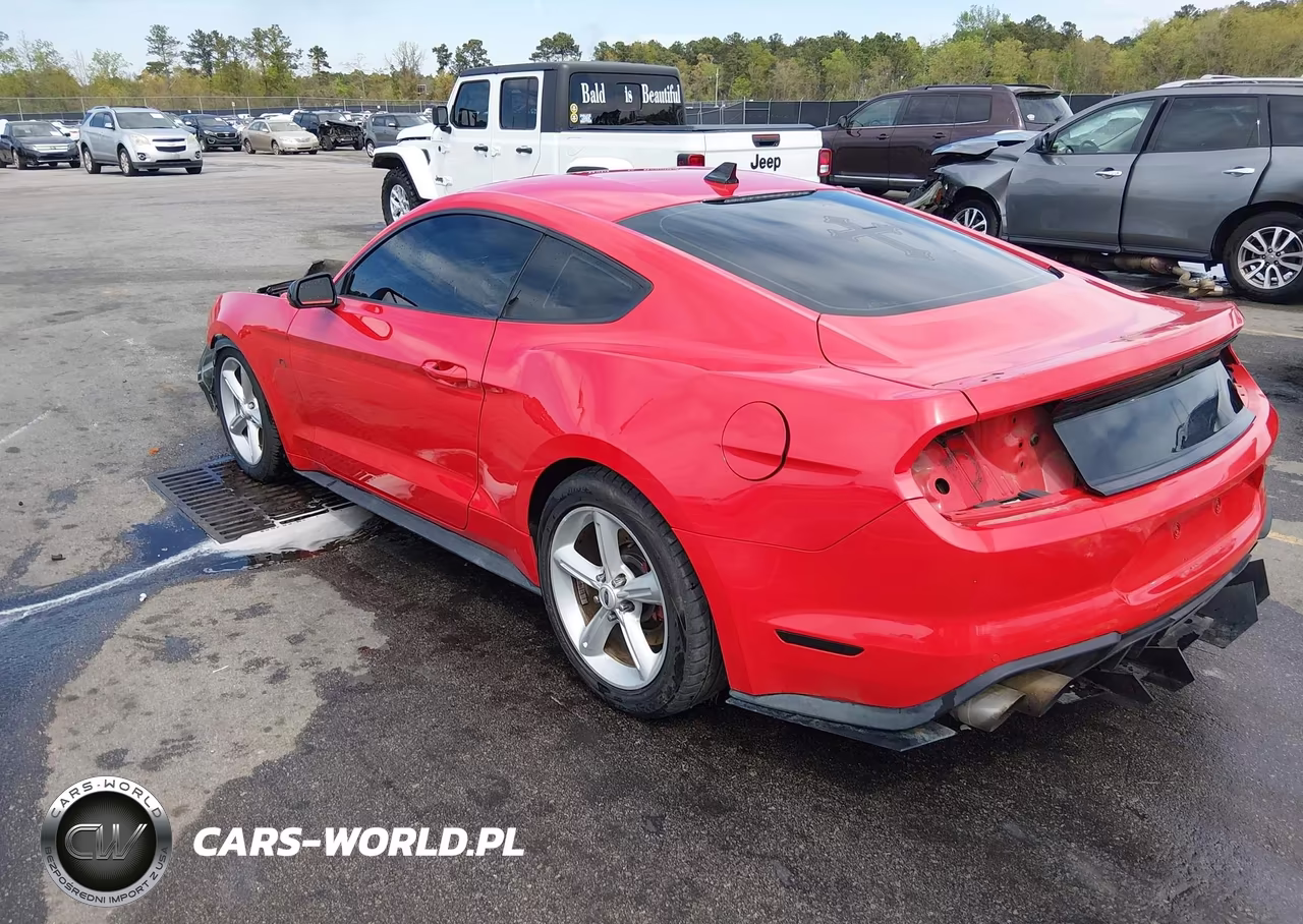 2021 Ford Mustang Gt Premium VIN:1FA6P8CF0M5116530 - 3