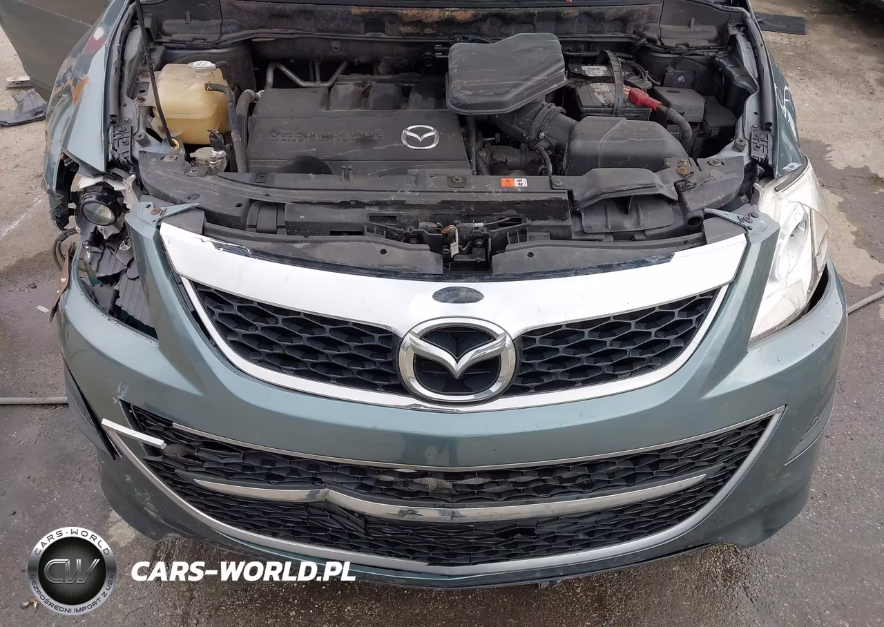 2011 Mazda Cx-9 Sport VIN:JM3TB3BV7B0323473 - 10