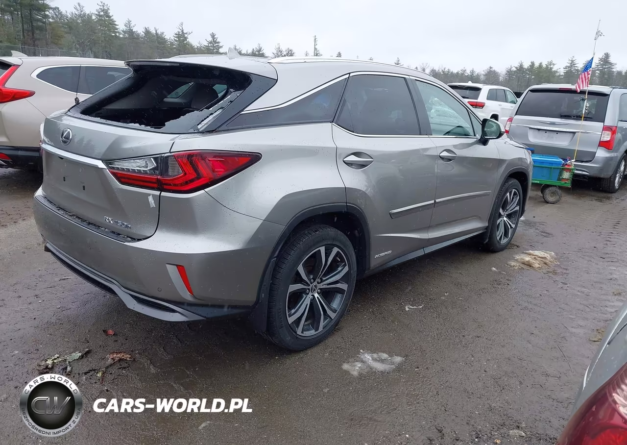 2019 Lexus Rx 450H VIN:2T2BGMCA1KC036221 - 4