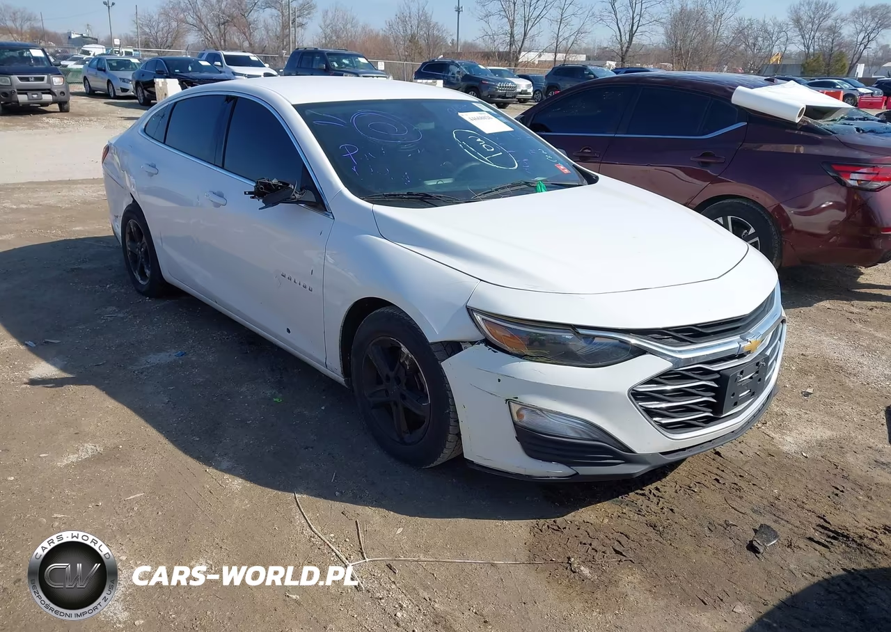 2019 Chevrolet Malibu 1Ls