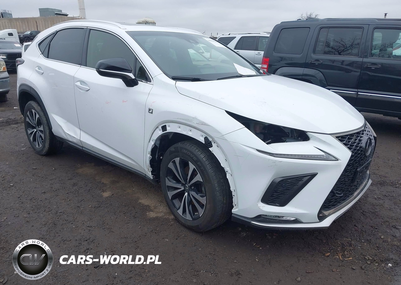 2019 Lexus Nx 300 F Sport