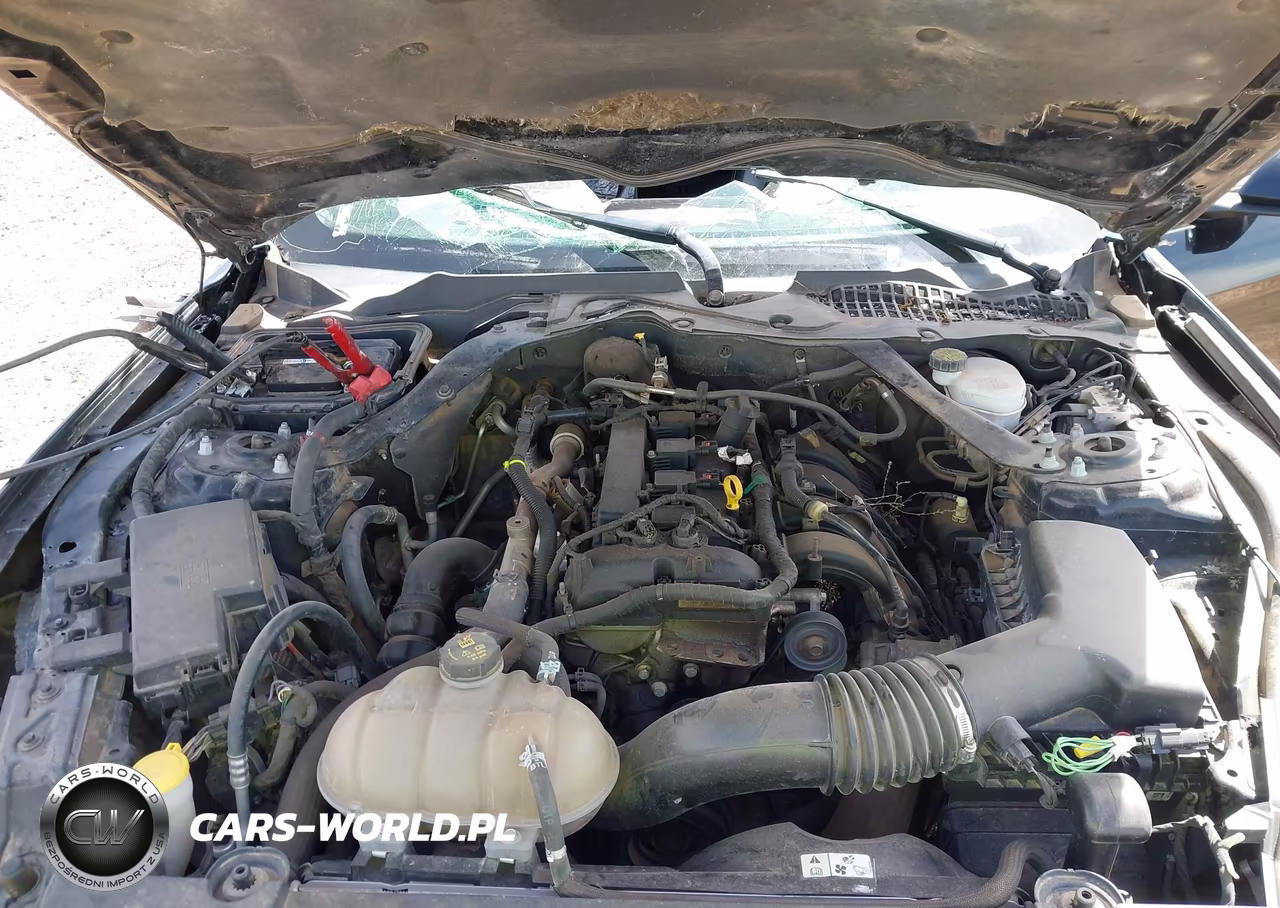 2015 Ford Mustang Ecoboost VIN:1FA6P8TH1F5369246 - 10