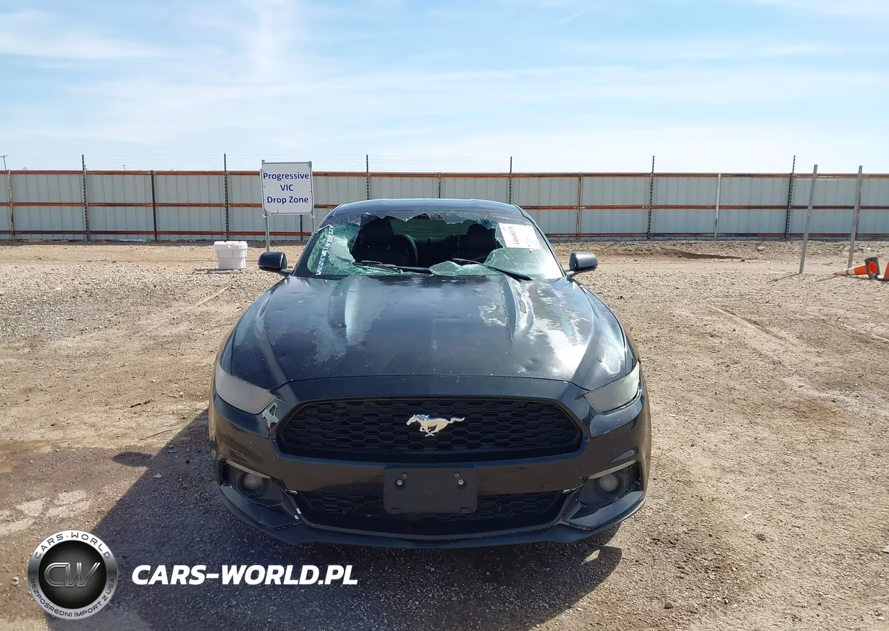 2015 Ford Mustang Ecoboost VIN:1FA6P8TH1F5369246 - 13
