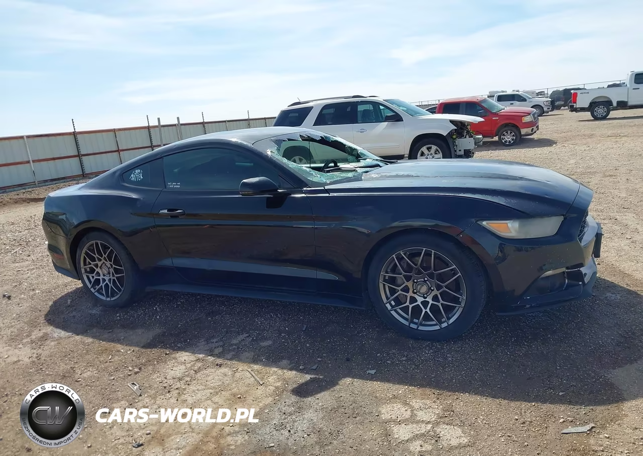 2015 Ford Mustang Ecoboost VIN:1FA6P8TH1F5369246 - 14