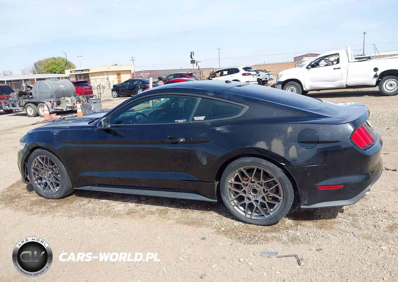 2015 Ford Mustang Ecoboost VIN:1FA6P8TH1F5369246 - 15
