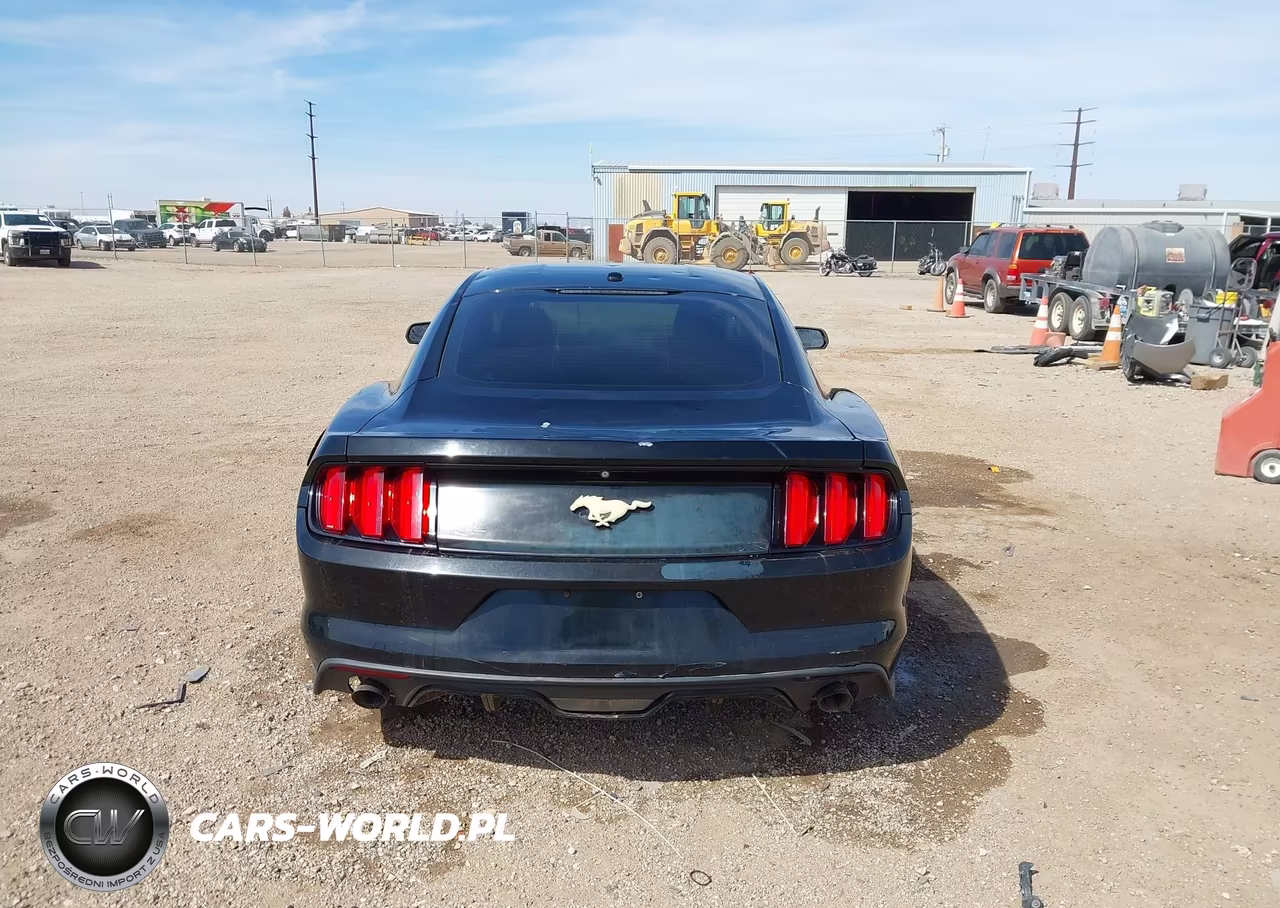 2015 Ford Mustang Ecoboost VIN:1FA6P8TH1F5369246 - 17