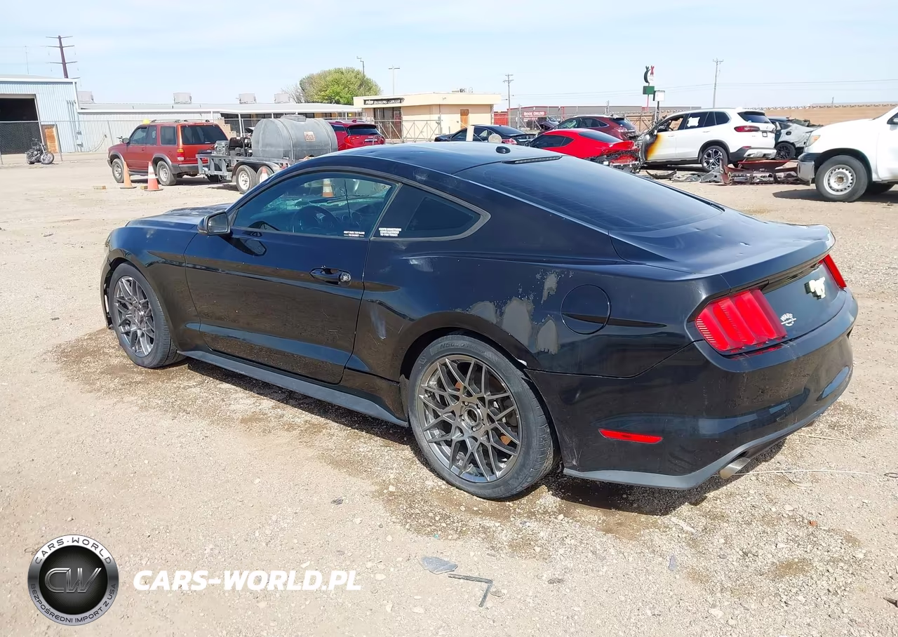 2015 Ford Mustang Ecoboost VIN:1FA6P8TH1F5369246 - 3