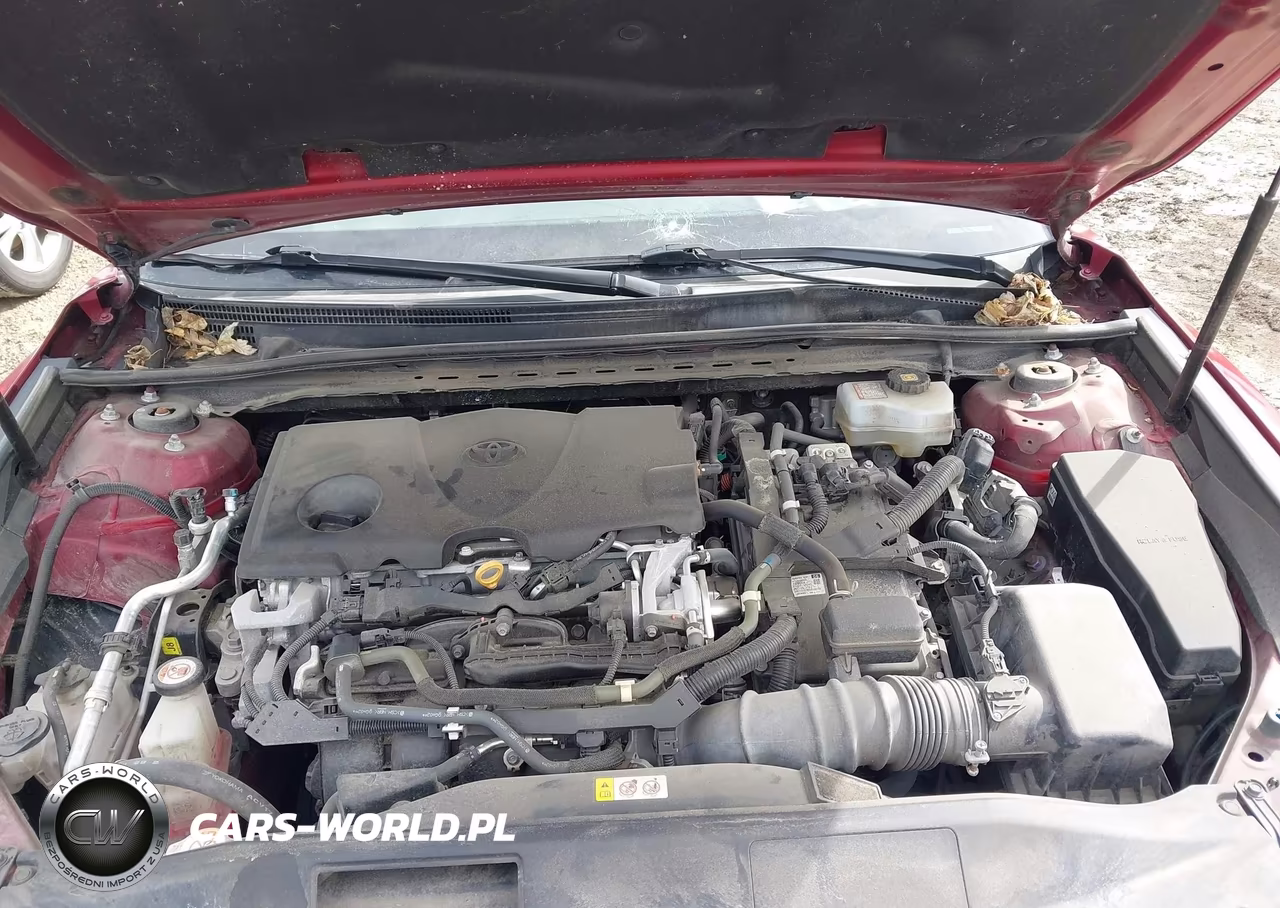 2020 Toyota Camry Xle Hybrid VIN:4T1F31AK4LU539009 - 10