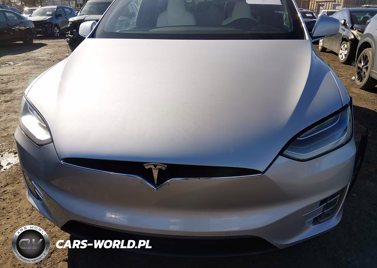 2017 Tesla Model X 100D-75D-90D VIN:5YJXCAE21HF075079 - 10